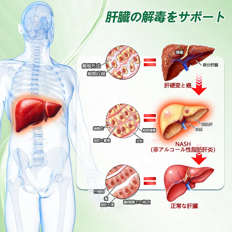 Glumasetide®＆NAD+ 8-in-1 ナノ強化フォーミュラ【アップグレード版】内臓脂肪 / 肥満 / 糖尿病 / 睡眠時無呼吸 / 関節ケア / 肌のたるみ 集中サポート ✨