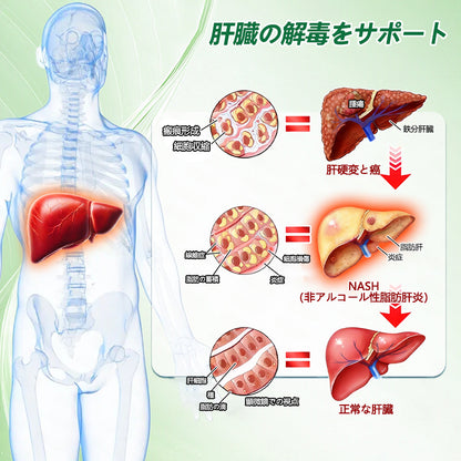 Glumasetide®＆NAD+ 8-in-1 ナノ強化フォーミュラ【アップグレード版】内臓脂肪 / 肥満 / 糖尿病 / 睡眠時無呼吸 / 関節ケア / 肌のたるみ 集中サポート ✨